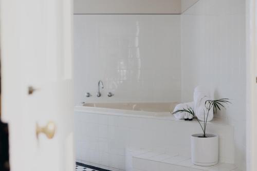 a white bathroom with a tub and a potted plant at The Customs House Port MacDonnell in Port MacDonnell