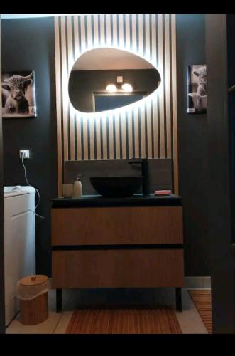 une salle de bain avec un lavabo et un miroir au mur dans l'établissement Maison coeur de ferme, à Payré