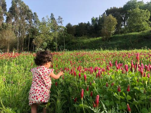 a little girl walking through a field of flowers at Quinta da Casa Azul in Óbidos