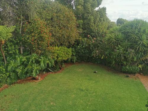 Giardino di Villa Stella Guest House