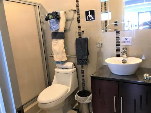 a bathroom with a toilet and a sink at Hotel Terra Sur Cuenca in Cuenca