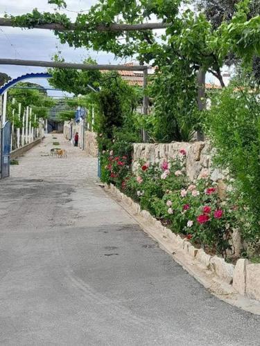 an empty street with flowers and a stone wall at Quinta Ribeiro Tanquinhos in Tancos