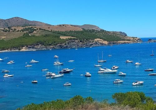a large group of boats in a large body of water at 2-bedroom brand new apartment steps from the beach in Llança