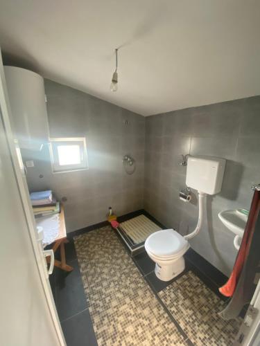 uma casa de banho com um WC e um lavatório em Salaš na dan, Futog em Futog
