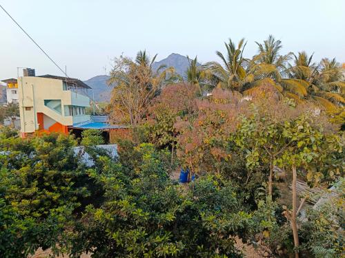 un gruppo di alberi di fronte a un edificio di Abaranji Guest House a Tiruvannāmalai