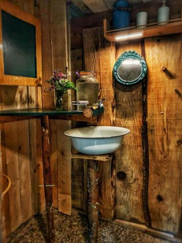 a bathroom with a sink on a wooden wall at VLES chata uprostřed lesa in Prachatice