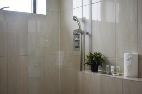 a bathroom with a shower with a plant on a counter at Sleek 2 bed with balcony in Brentwood in Brentwood