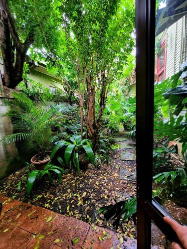 a window view of a garden with a tree at Hotel Aranjuez in San José