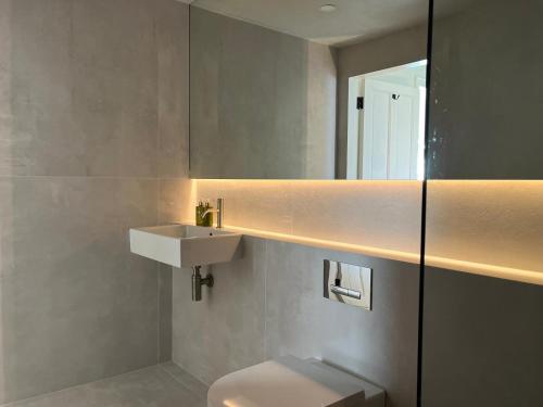 a bathroom with a sink and a mirror and a toilet at Salt Cliff Cottage in Doolin