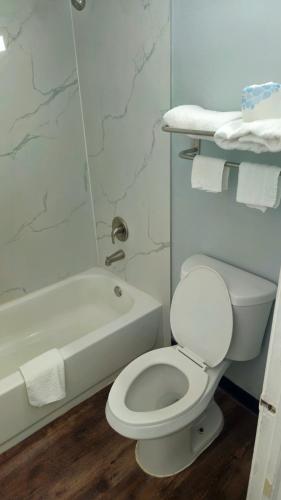 a white bathroom with a toilet and a shower at EconoLodge Lavonia in Lavonia