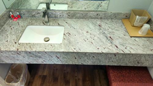 a bathroom counter with a sink and a mirror at EconoLodge Lavonia in Lavonia