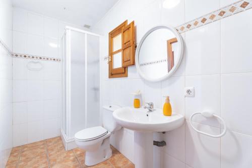 ein Bad mit einem WC, einem Waschbecken und einem Spiegel in der Unterkunft Antiga escola de Molinell in Culla