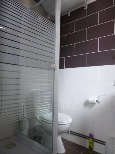 La salle de bains est pourvue de toilettes et d'une porte de douche en verre. dans l'établissement Le Mistral Berck, à Berck-sur-Mer