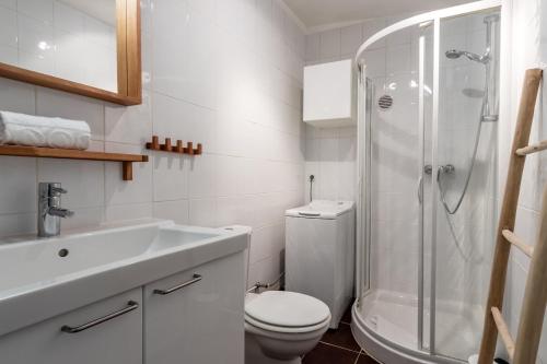 ein Bad mit einer Dusche, einem WC und einem Waschbecken in der Unterkunft Appartement Sun Valley in Chamonix-Mont-Blanc