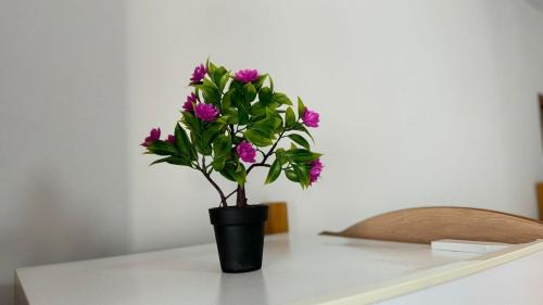 a black vase with purple flowers on a table at Amel's Apartments Comfortable Family Stay Near Orikum Beach in Orikum