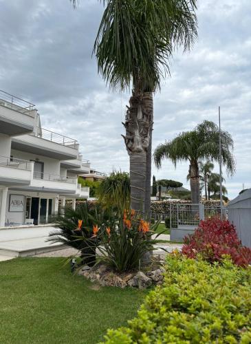 a palm tree in a yard next to a building at Acca residence in Terracina