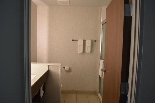 bagno con lavandino, doccia e asciugamani di Holiday Inn Express & Suites a Liberal