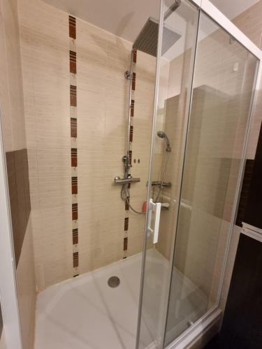 une douche avec une porte vitrée dans une salle de bain dans l'établissement SPITIMOU BORDEAUX, à Cenon