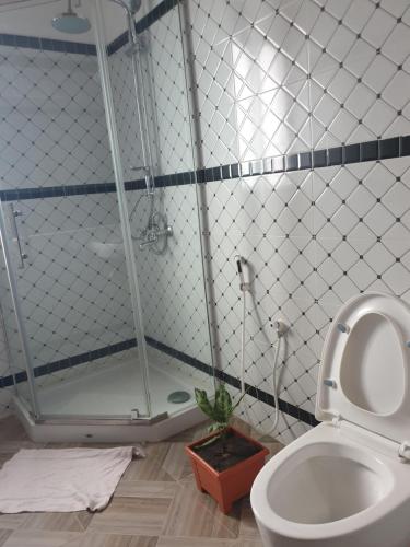 a bathroom with a shower and a toilet at RAKA HOLIDAY HOMES in Malindi