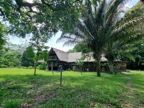 ein Haus mit einer Palme davor in der Unterkunft River Point Hostel in Puerto Maldonado