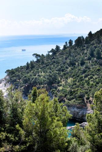 Φυσικό τοπίο κοντά σε αυτή η βίλα
