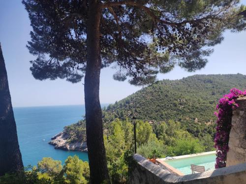 Φυσικό τοπίο κοντά σε αυτή η βίλα