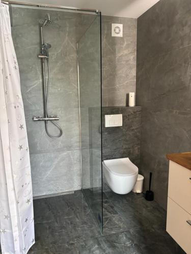 a bathroom with a shower and a toilet at Domek nad Dunajcem in Krościenko
