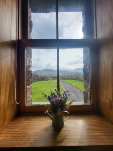 a vase of flowers sitting on a window sill at Reeks Country House in Killarney