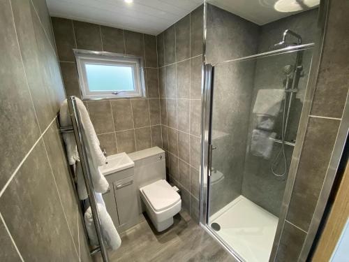 a bathroom with a toilet and a glass shower at Laigh Letterpin Lodge in Girvan