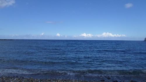 ホテルの近くで見られる自然の景観