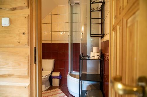 a small bathroom with a toilet and a shower at U Prezesa in Lutowiska