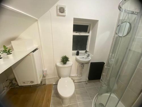 a bathroom with a toilet and a sink and a shower at Stunning executive apartment. in London