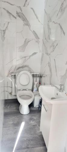 a white bathroom with a toilet and a sink at Noclegi u Ewusi in Januszowice