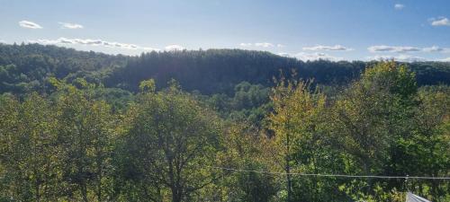 JanuszowiceにあるNoclegi u Ewusiの遠くに木々の森の景色