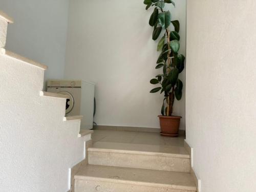 a stairway with a plant and a washing machine at Amel's Apartments Comfortable Family Stay Near Orikum Beach in Orikum