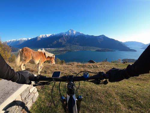 a person on a bike with a dog looking at a lake at Hotel Europa - Sorico in Sorico