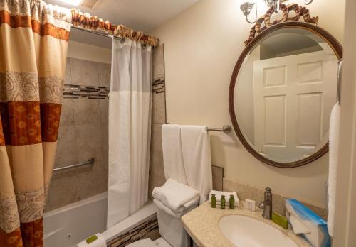 a bathroom with a sink and a toilet and a mirror at Quarter House Suites in New Orleans