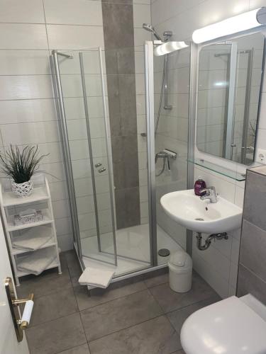 a bathroom with a shower and a sink at Apartment Jette mit Balkon in Zempin