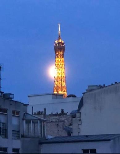 Vue Tour Eiffel - calme & chic