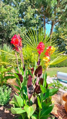 Photo de la galerie de l'établissement Villa Entre Bordeaux et Arcachon, à Salles