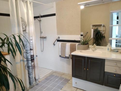 une salle de bain avec un lavabo et une douche dans l'établissement Le Vignal, à Monflanquin