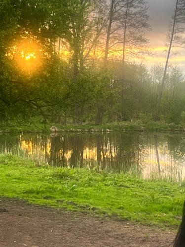 a reflection of the sun in a pond with trees at Apartament-samodzielne mieszkanie-Agroturystyka-puszcza kampinoska in Leoncin