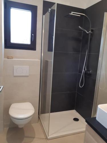 une salle de bain avec douche et toilettes et une fenêtre dans l'établissement Gîte de charme au Paradou. Piscine. Terrasse bois., à Paradou