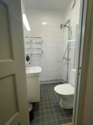 ein Bad mit einem WC und einem Waschbecken in der Unterkunft Libevi 1 in Stockholm