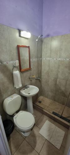 een badkamer met een toilet, een wastafel en een douche bij El Toro in San Fernando del Valle de Catamarca