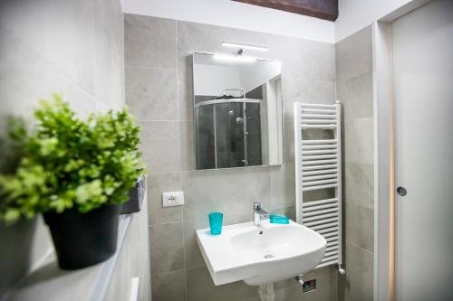 a bathroom with a sink and a mirror and a plant at Casa di Bruno in Pellio Superiore