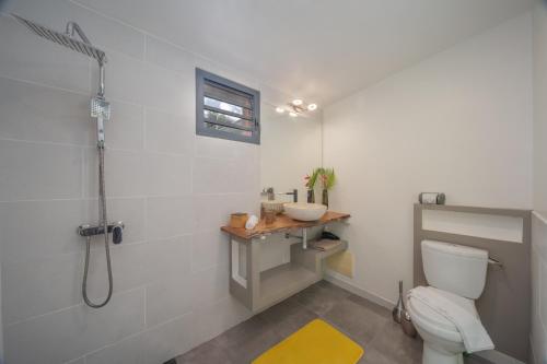uma casa de banho com um chuveiro, um WC e um lavatório. em Chalet étoilé BAYALOCATION em Le Lamentin