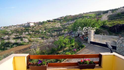 a balcony with flowers and plants on a hill at Vila Dean in Berat
