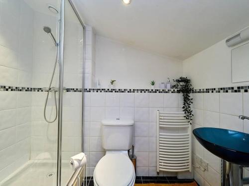 a bathroom with a toilet and a shower and a sink at Emerald Suite-Sleep 6-Long Stays - FREE PARKING in Birmingham