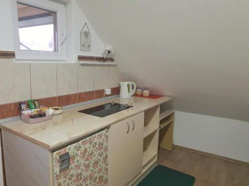 a small kitchen with a sink and a window at Apartments Gruda in Cetinje